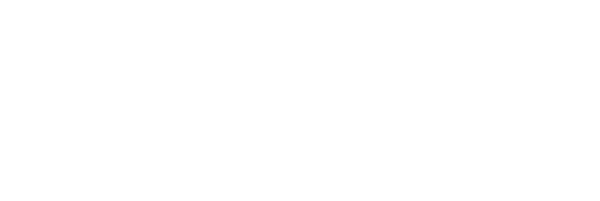 Ginesoft